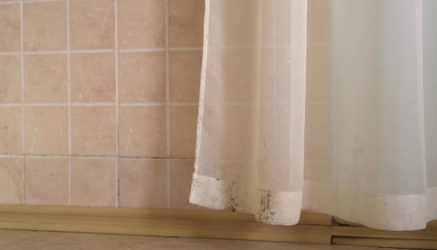 Best Emergency Mold Remediation  in Ome, GA