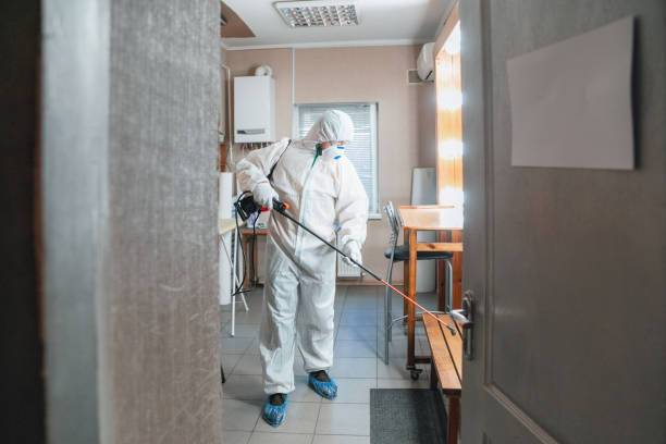 Best Forensic Mold Investigation  in Ome, GA