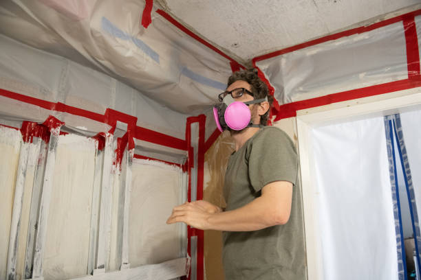 Best Real Estate Mold Inspection  in Ome, GA