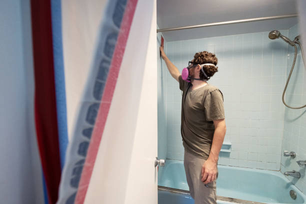Environmental Consulting for Mold Prevention in Omega, GA